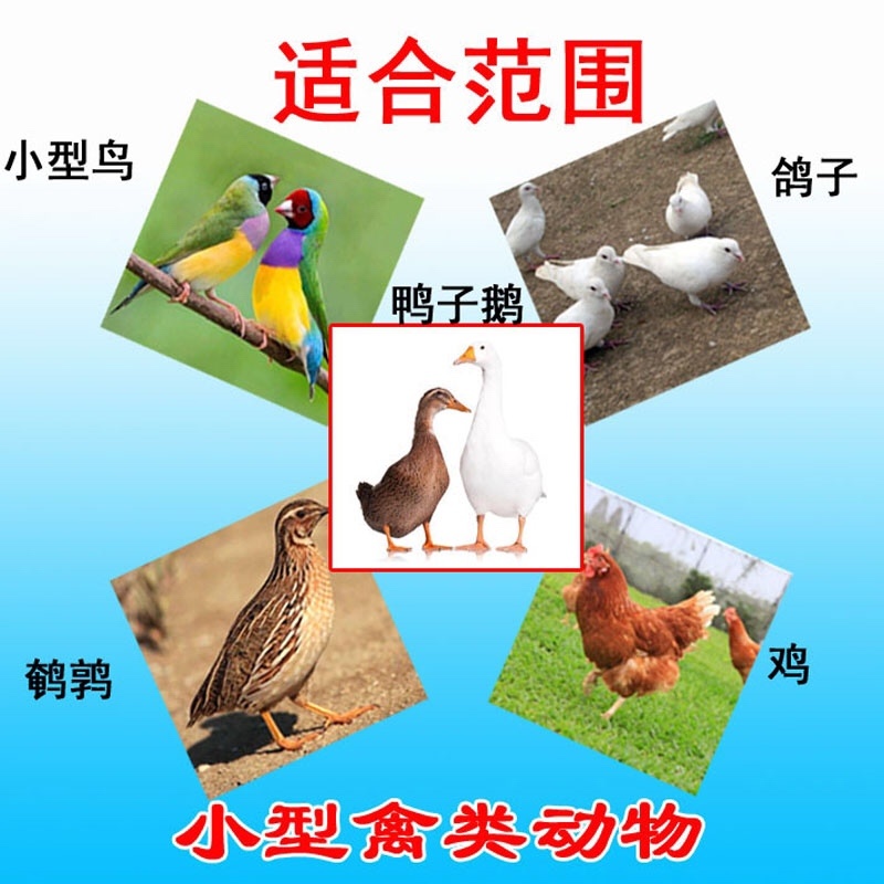 贝壳粉饲料补钙禽用鸡鸭鹅鸽子产蛋助消化饲料添加剂