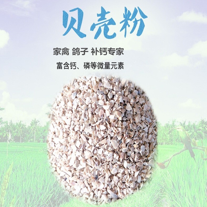 贝壳粉饲料补钙禽用鸡鸭鹅鸽子产蛋助消化饲料添加剂