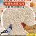 贝壳粉饲料补钙禽用鸡鸭鹅鸽子产蛋助消化饲料添加剂