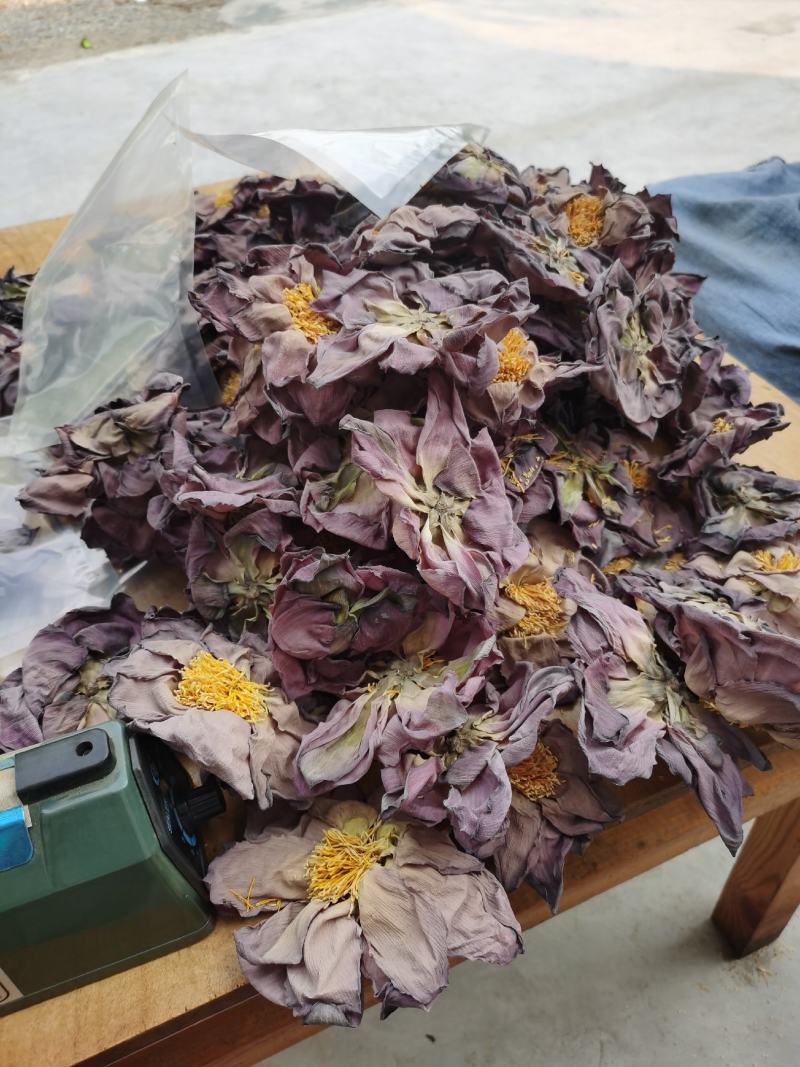 荷花茶，整朵，袋装一手货源荷叶茶、桑叶茶