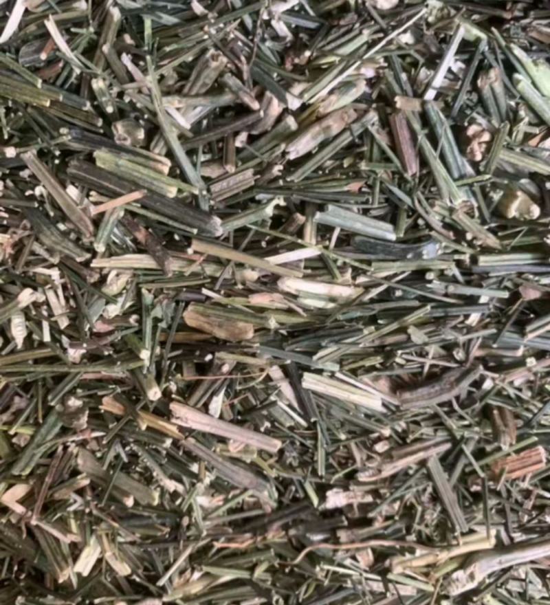 穿心莲统装500g产地云南振兴药材购销站量大从