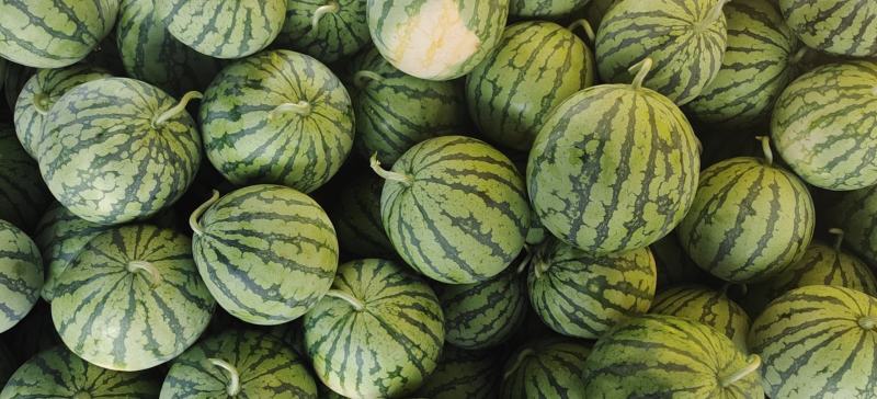 推荐，陕西渭南，甜王西瓜，西瓜应季长期供货量大优惠