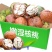 大凉山老树核桃，2025新鲜湿核桃，青皮/薄皮，一件代发