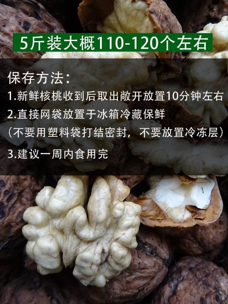 大凉山老树核桃，2025新鲜湿核桃，青皮/薄皮，一件代发