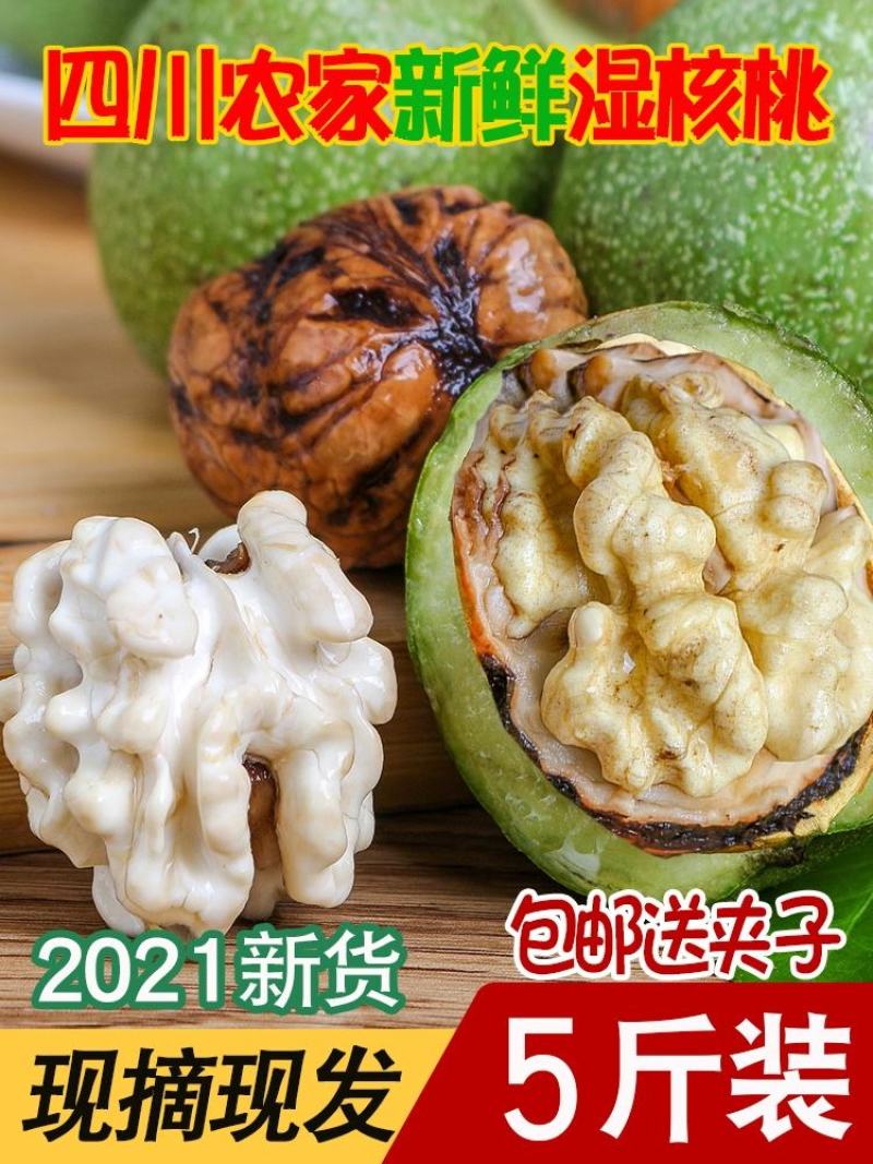 大凉山老树核桃，2025新鲜湿核桃，青皮/薄皮，一件代发