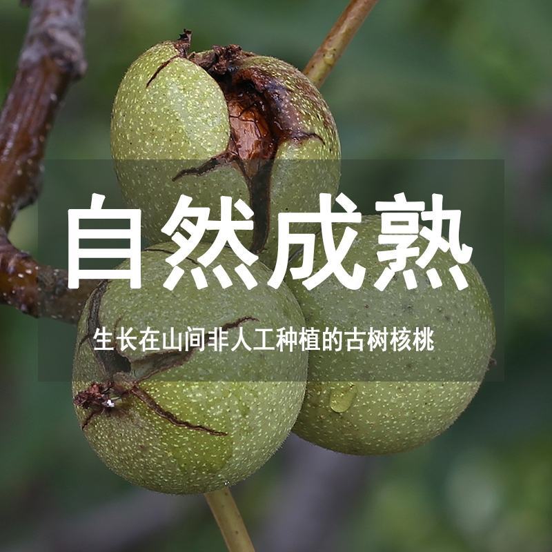大凉山老树核桃，2025新鲜湿核桃，青皮/薄皮，一件代发