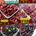 金丝豆农家金丝豆五谷杂粮金丝豆红色金丝豆包邮