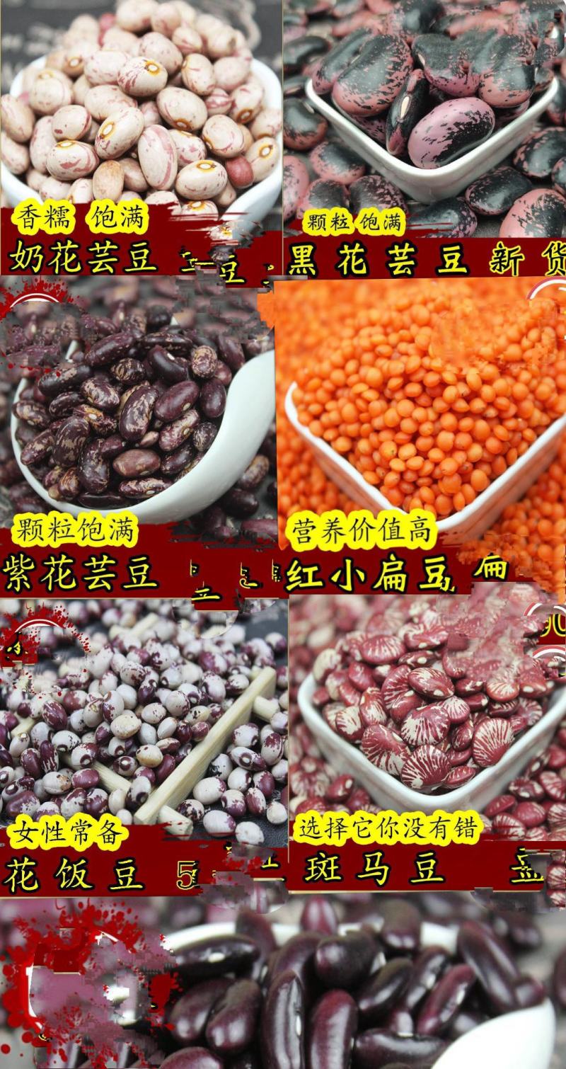 金丝豆农家金丝豆五谷杂粮金丝豆红色金丝豆包邮