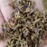 葛花，细花