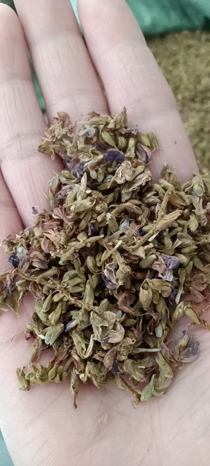 葛花，细花