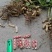 精品四粒红鲜花生，籽粒饱满，过筛子手选果，供应超市市场