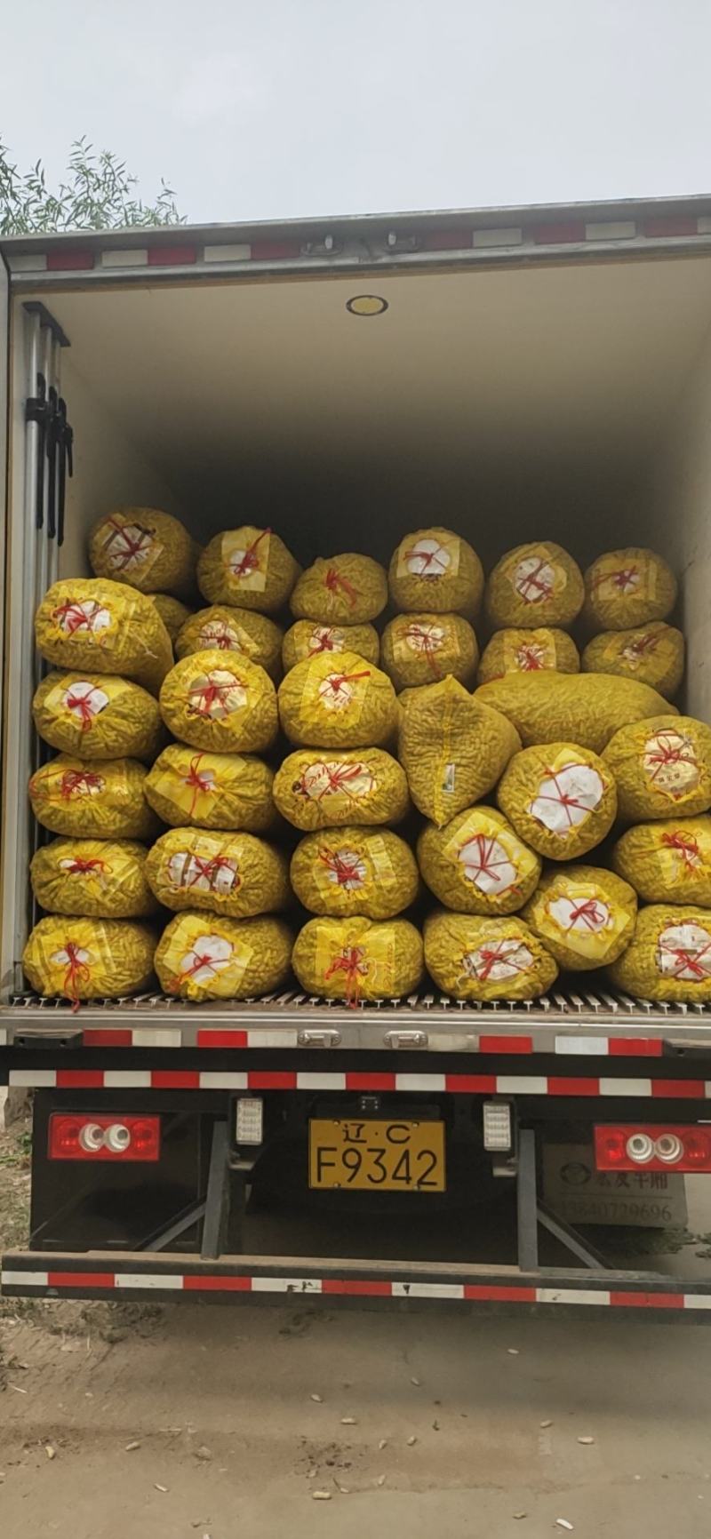 精品四粒红鲜花生，籽粒饱满，过筛子手选果，供应超市市场