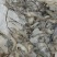 河虾冻品大河虾