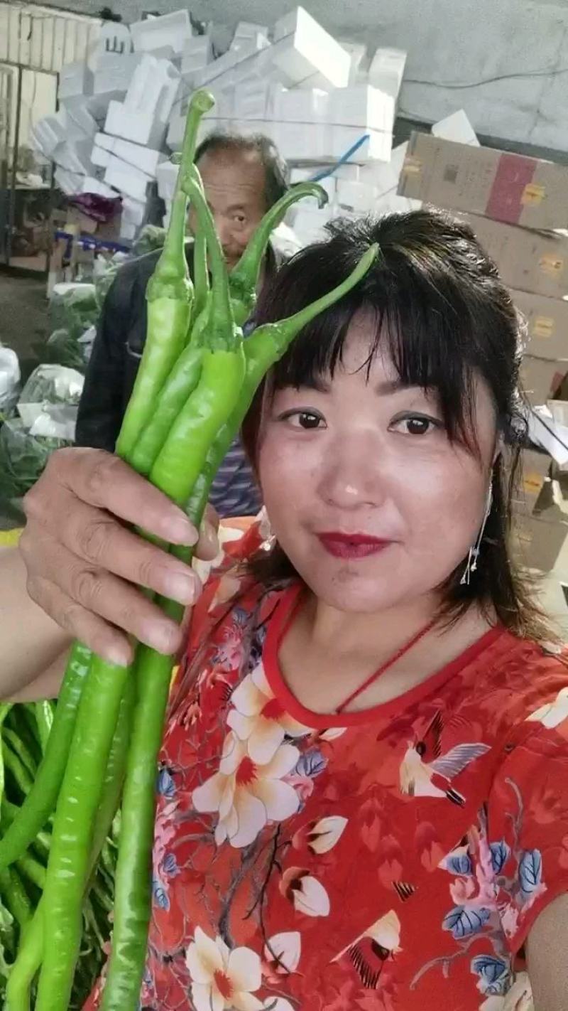 精品线椒，量大从优！保质保量！可视频看货，也可实地考察！