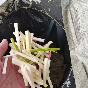 酸笋螺丝粉酸笋供应材料螺丝粉实体店配料