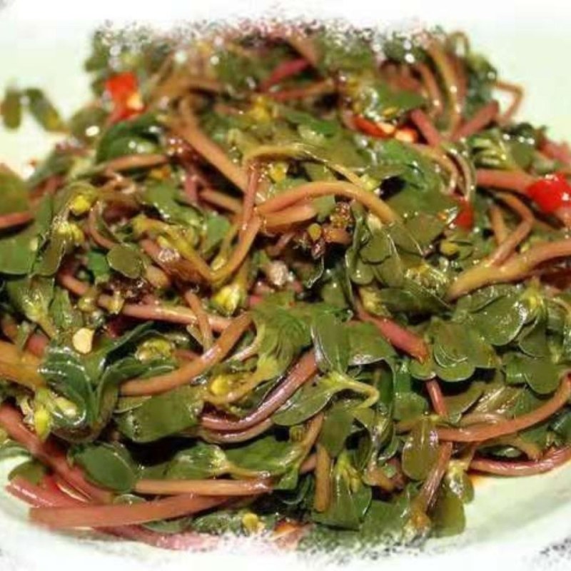 新鲜马齿苋马蜂菜五行草野生马苋菜现挖蚂蚱菜野菜长寿菜冰鲜