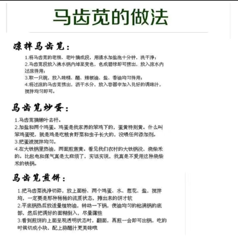 新鲜马齿苋马蜂菜五行草野生马苋菜现挖蚂蚱菜野菜长寿菜冰鲜