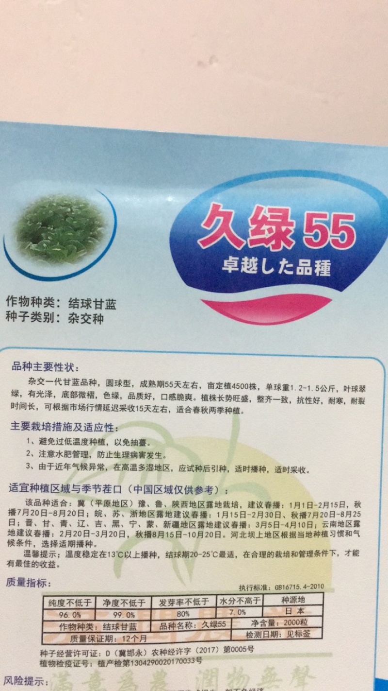 久绿55～春秋甘蓝种子