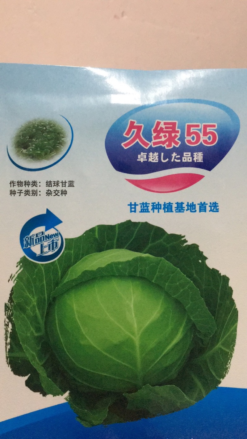 久绿55～春秋甘蓝种子