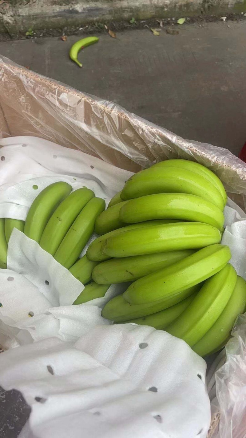 菲律宾精品好货，不硬心，不炸口，不跳把，香蕉基地直发