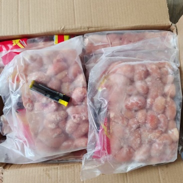 优质国产鸡腰子新鲜