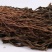 浙江宁波特产雪里蕻梅干菜整颗脱水梅干菜扣肉锅盔的不二选择