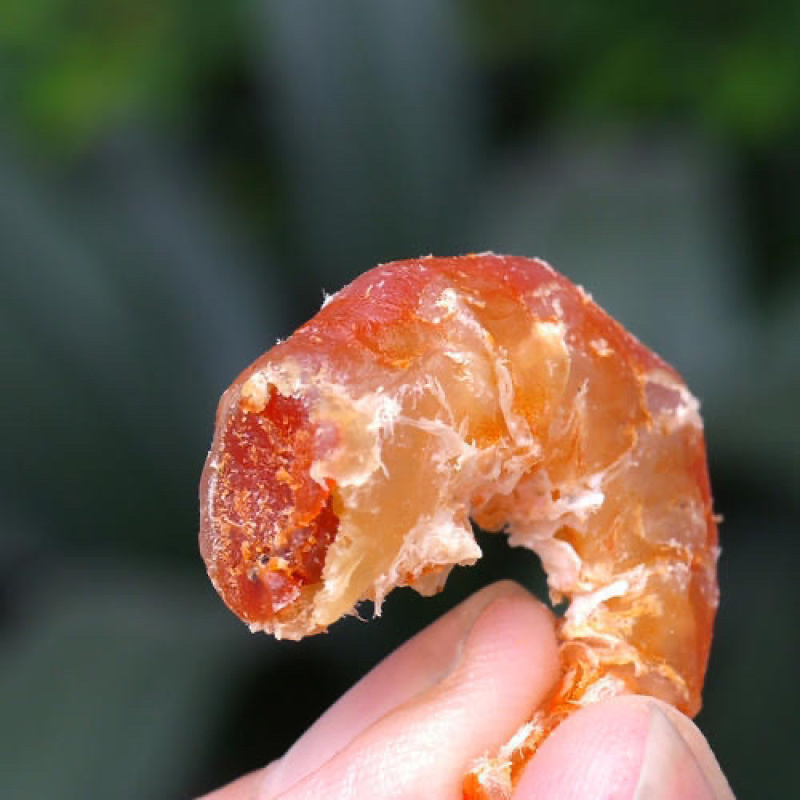 大海米大虾仁干度好盐分低厂家直销代加工发货