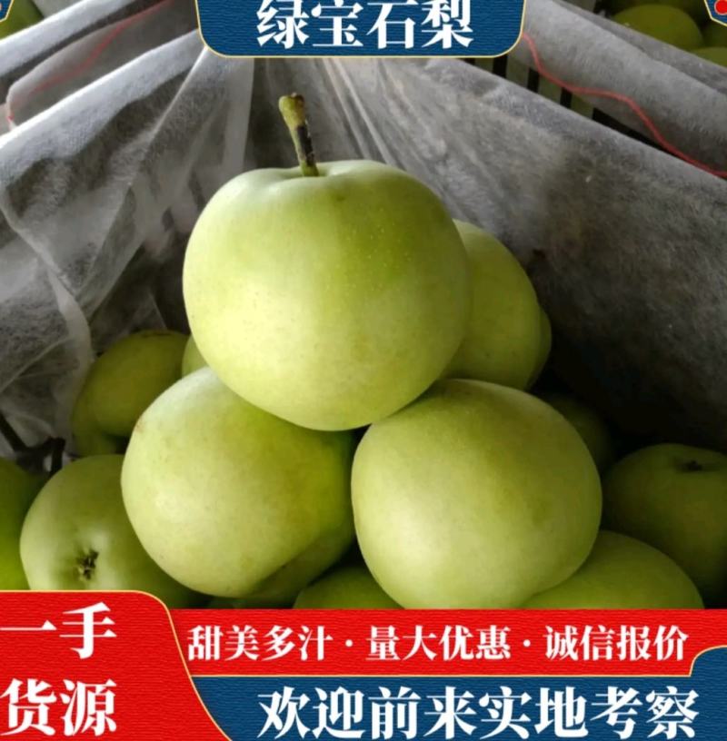 【新梨】绿宝石梨，二级果，一级果，高次果海量有货质量保证