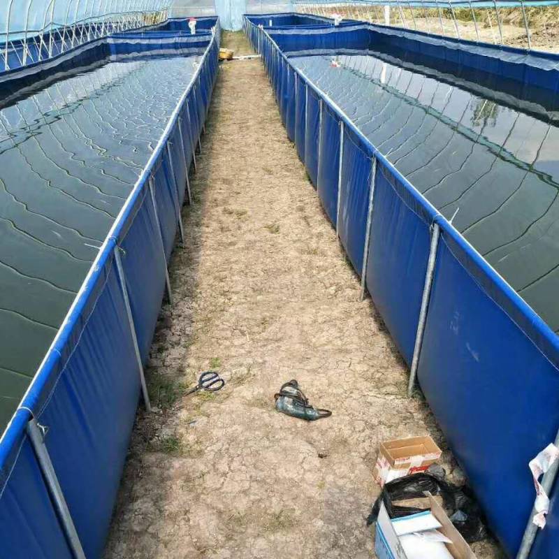 防渗漏水箱陆地小龙虾牛蛙养殖专用帆布水池