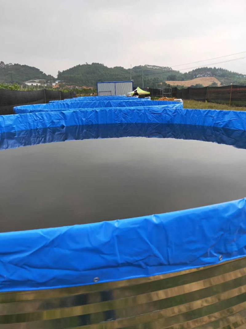 防渗漏水箱陆地小龙虾牛蛙养殖专用帆布水池