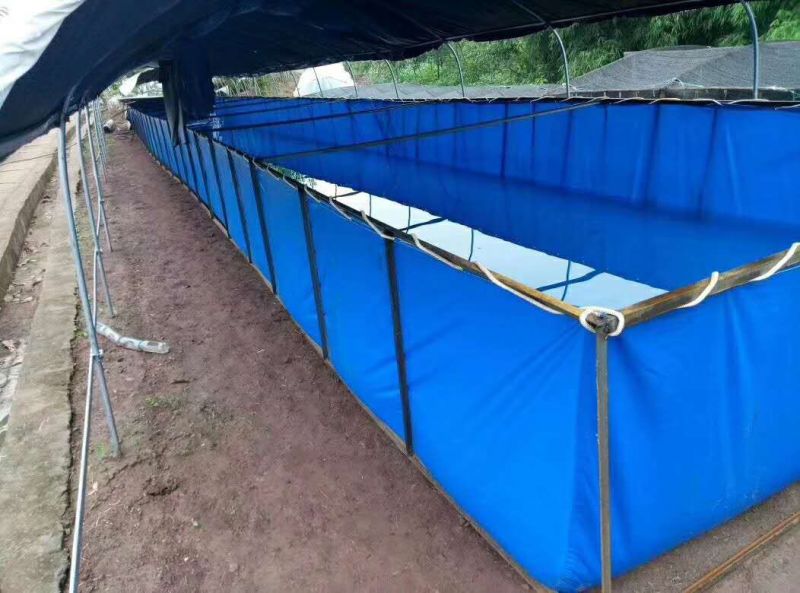 防渗漏水箱陆地小龙虾牛蛙养殖专用帆布水池