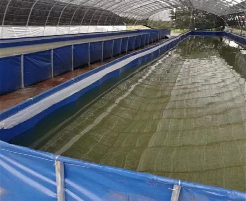 防渗漏水箱陆地小龙虾牛蛙养殖专用帆布水池