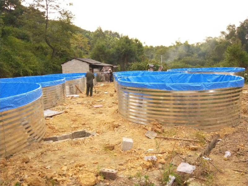 防渗漏水箱陆地小龙虾牛蛙养殖专用帆布水池