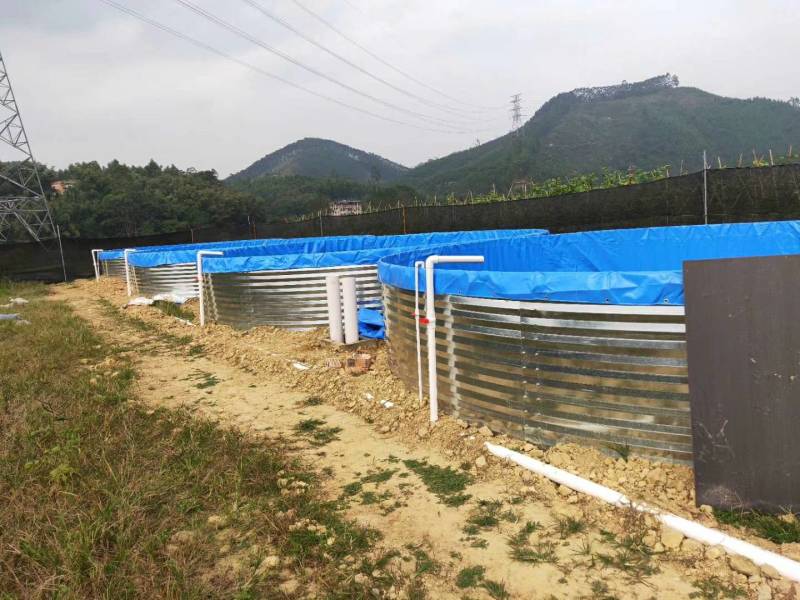 防渗漏水箱陆地小龙虾牛蛙养殖专用帆布水池