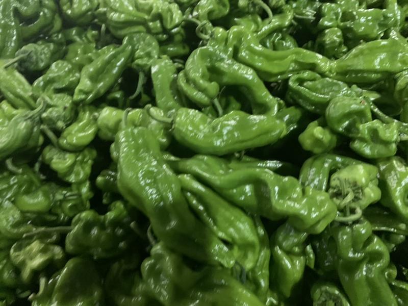 山东芜湖鲜辣椒-薄皮椒产地现货质量保证，一手货源量大从优