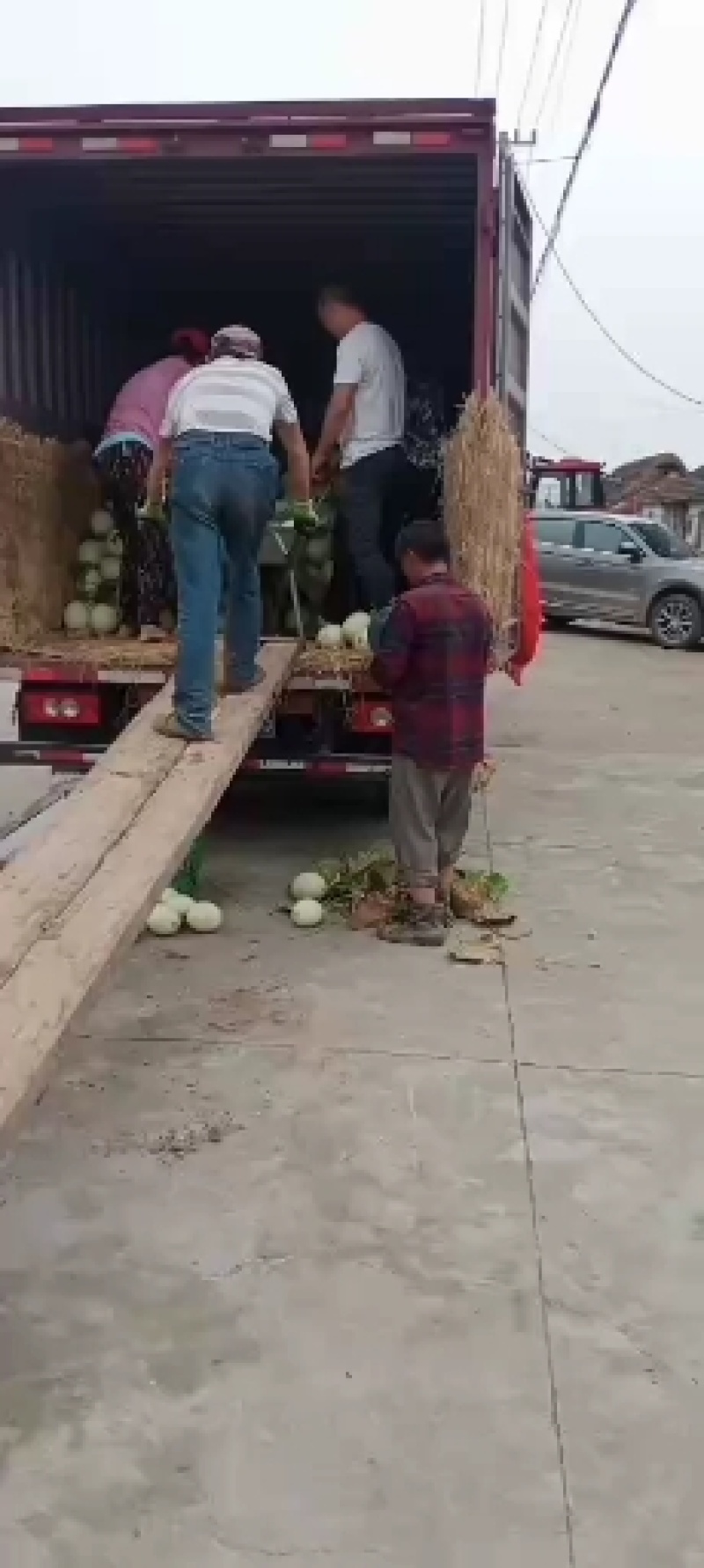 江苏东台农友玉菇甜瓜，超甜、口感好，一手货源，欢迎采购
