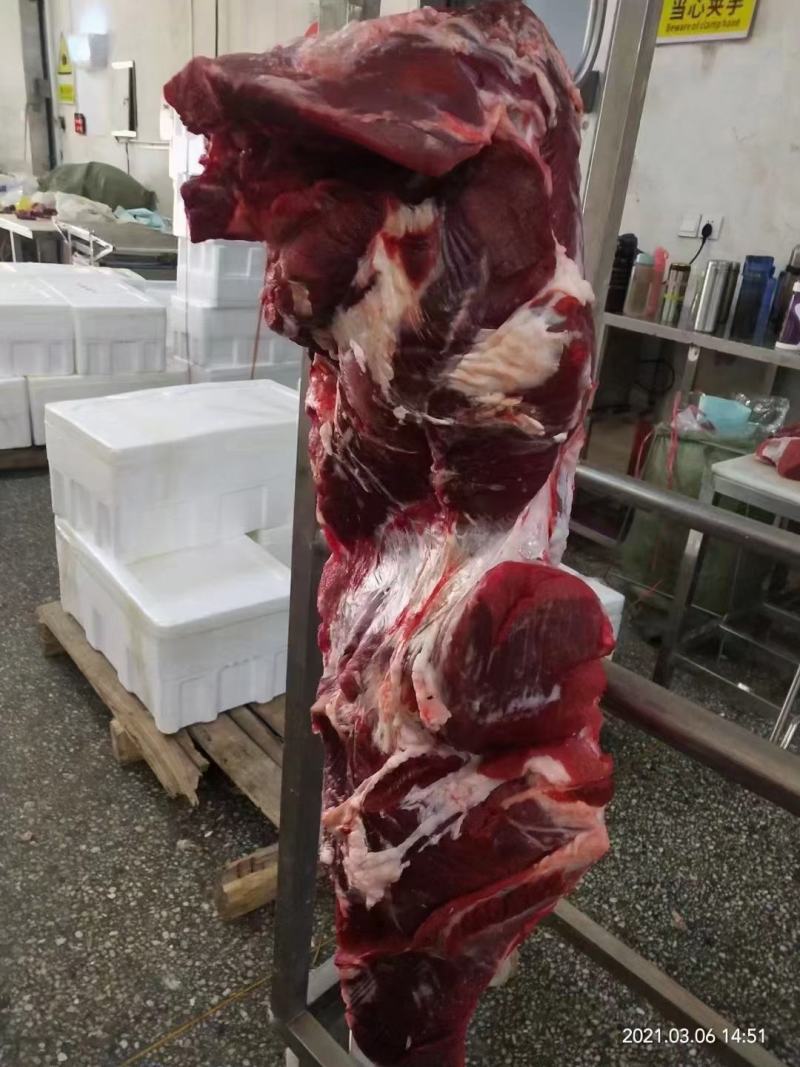 厂家直销清真纯干鲜牛腿肉
