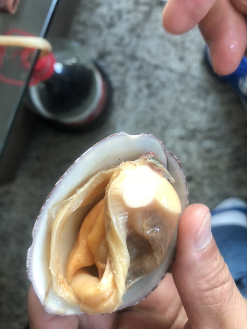 真空黄蚬子无沙