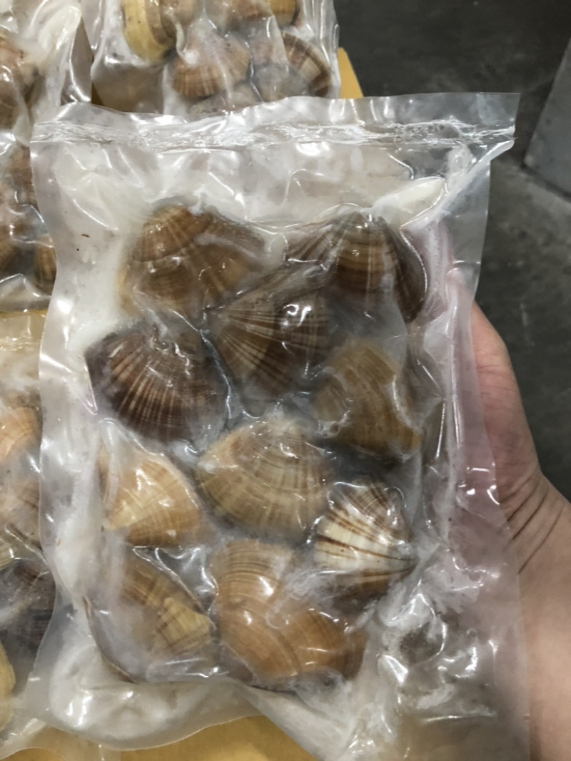 真空黄蚬子无沙