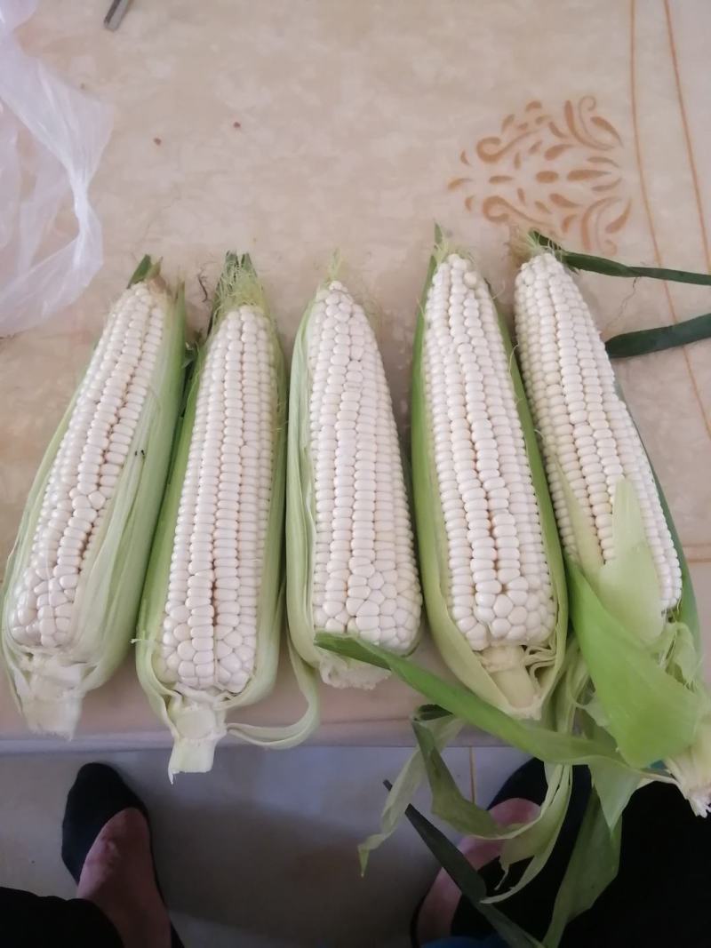 万诺两千
