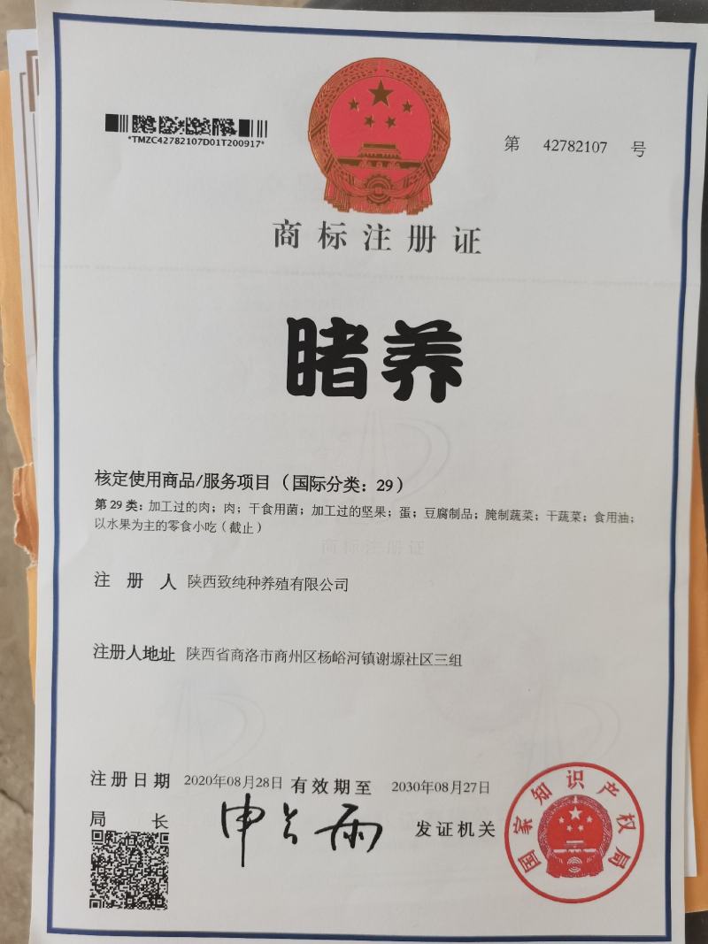 睹养牌杂交土猪，生长一年半`，每亩少于五头散养补饲原粮