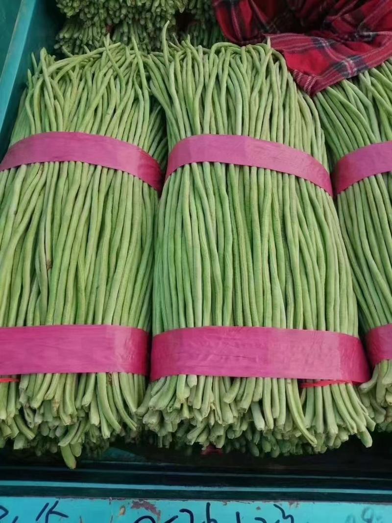 【长豆角】产地大量供应优质长豆角颜色绿条形长适合各大市场