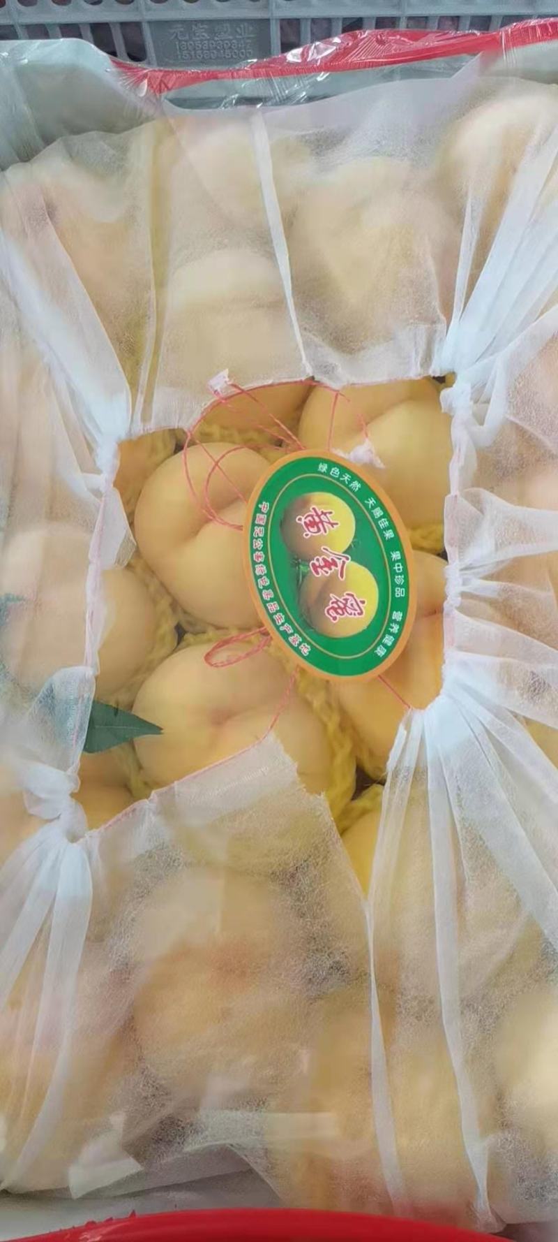 【精选推荐】黄桃上市质量保证量大24小时供货产地直发