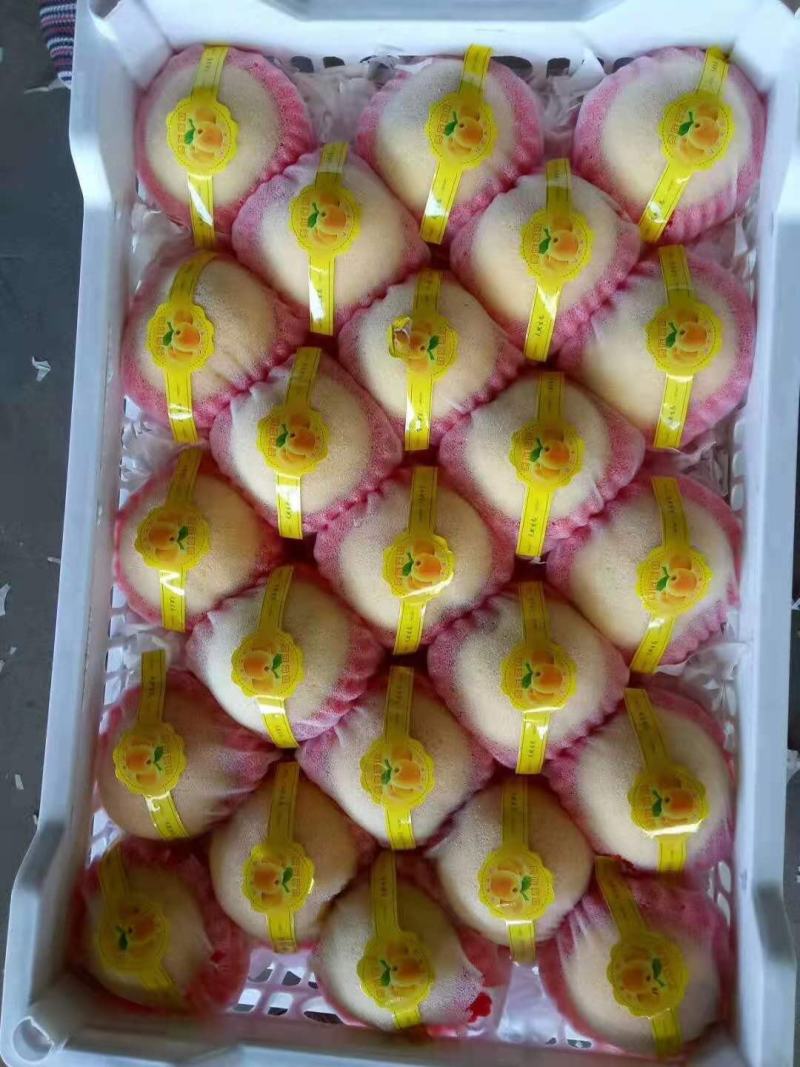 【精选推荐】黄桃上市质量保证量大24小时供货产地直发