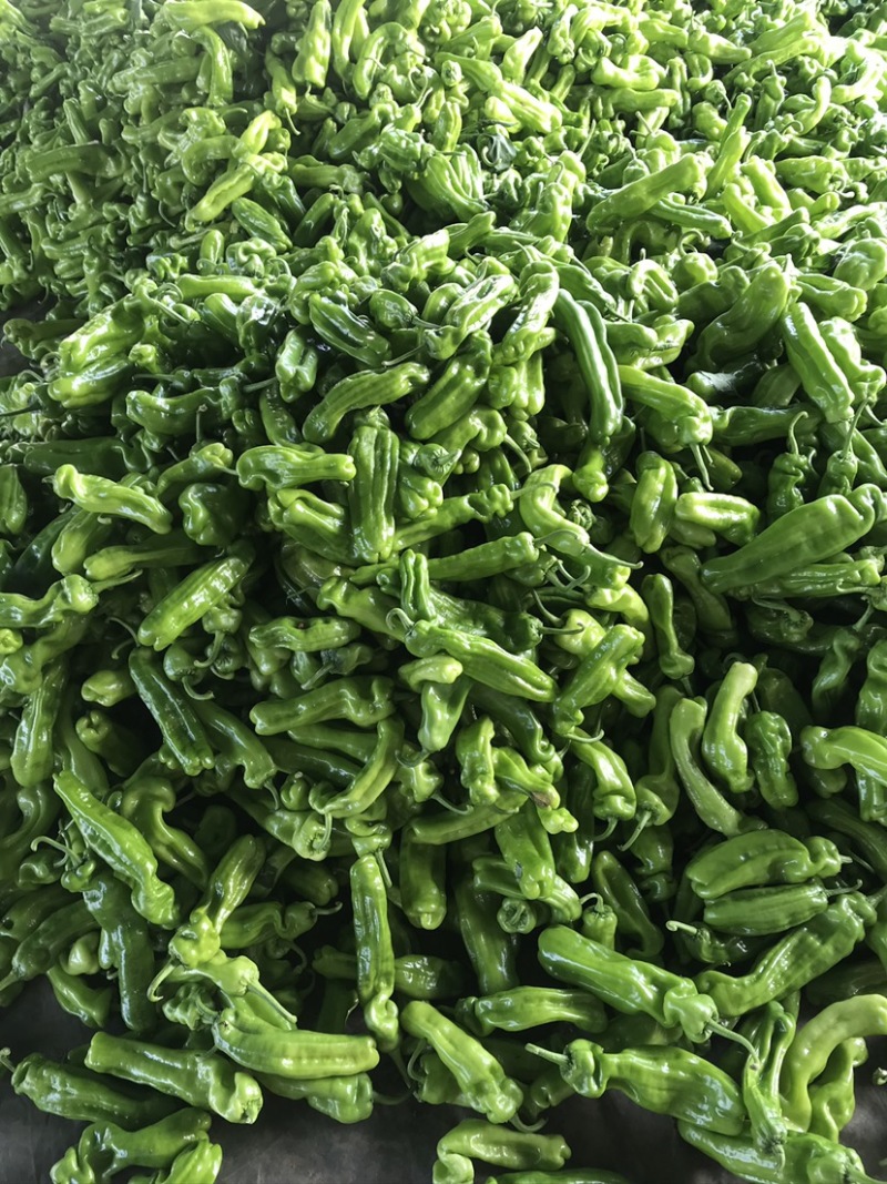 山东费县鲜辣椒薄皮椒货源充足，电商市场超市大量供应