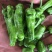 山东费县鲜辣椒薄皮椒货源充足，电商市场超市大量供应