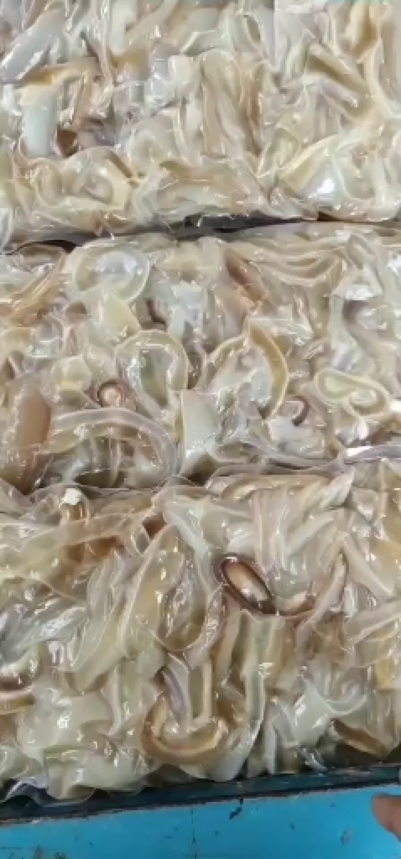 牛耳丝自家煮货，可正，可切丝，批发零售大量现货，货真价实