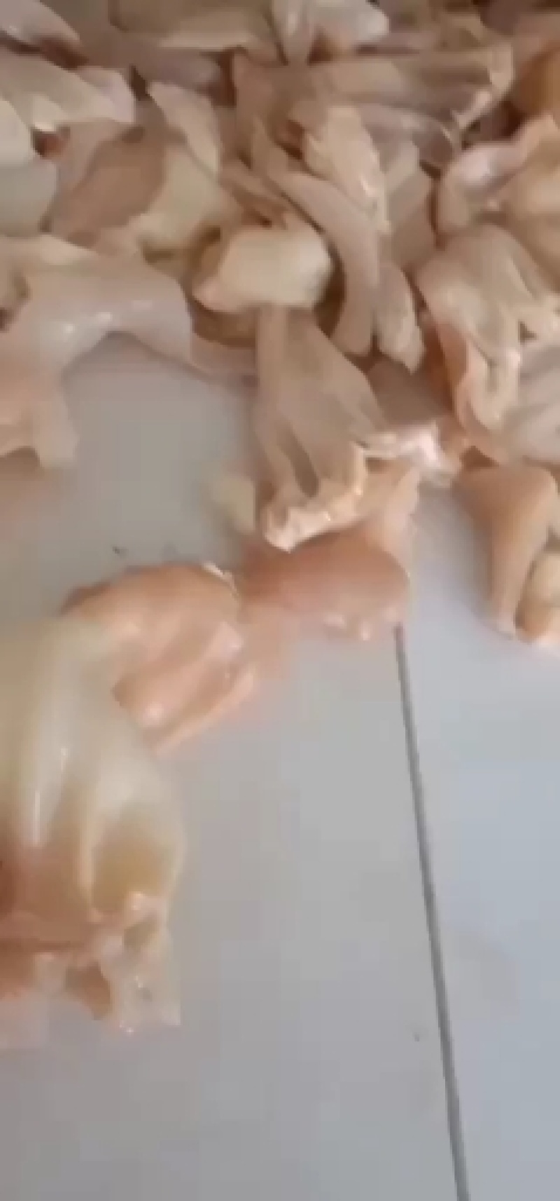 牛耳丝自家煮货，可正，可切丝，批发零售大量现货，货真价实