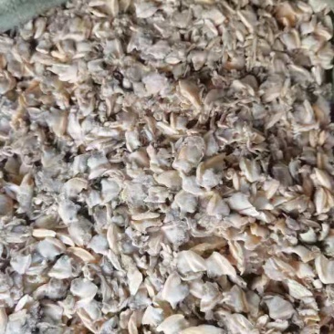 饲料鱼饲料花甲螺肉。营养价值高。88888