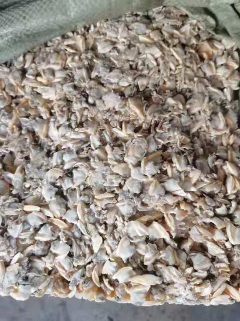 饲料鱼饲料花甲螺肉。营养价值高。88888